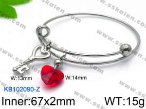 Stainless Steel Bangle - KB102090-Z