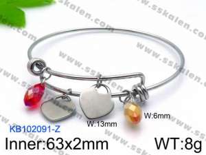Stainless Steel Bangle - KB102091-Z