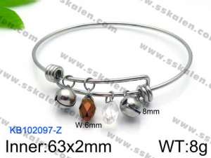 Stainless Steel Bangle - KB102097-Z