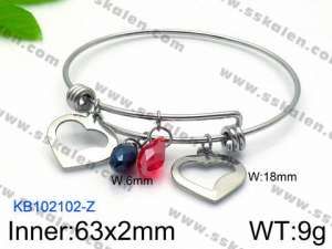 Stainless Steel Bangle - KB102102-Z