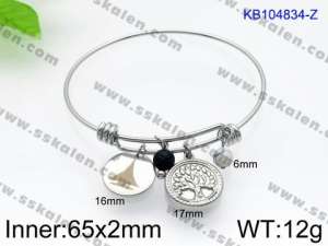 Stainless Steel Bangle - KB104834-Z