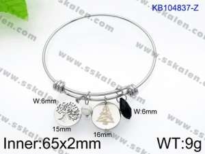 Stainless Steel Bangle - KB104837-Z