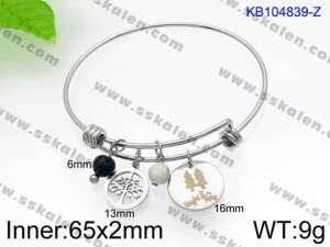 Stainless Steel Bangle - KB104839-Z