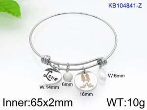 Stainless Steel Bangle - KB104841-Z