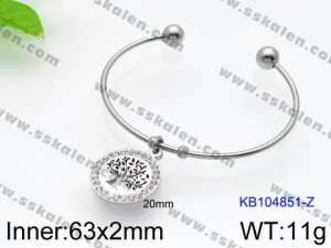 Stainless Steel Bangle - KB104851-Z