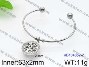 Stainless Steel Bangle - KB104852-Z