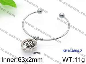 Stainless Steel Bangle - KB104854-Z