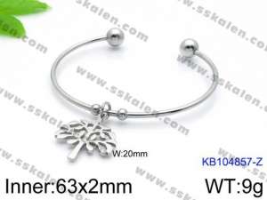 Stainless Steel Bangle - KB104857-Z