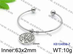 Stainless Steel Bangle - KB104859-Z
