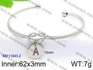 Stainless Steel Bangle - KB111643-Z