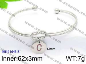 Stainless Steel Bangle - KB111645-Z