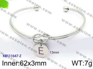 Stainless Steel Bangle - KB111647-Z