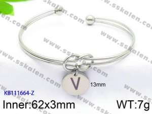 Stainless Steel Bangle - KB111664-Z