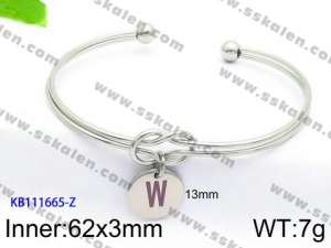 Stainless Steel Bangle - KB111665-Z