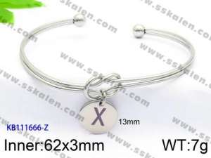 Stainless Steel Bangle - KB111666-Z