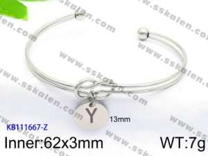 Stainless Steel Bangle - KB111667-Z