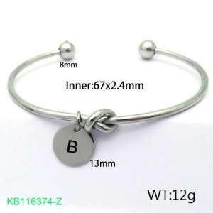 Stainless Steel Bangle - KB116374-Z