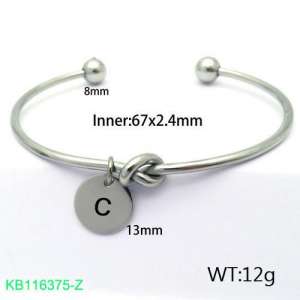 Stainless Steel Bangle - KB116375-Z
