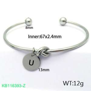 Stainless Steel Bangle - KB116393-Z