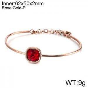Stainless Steel Stone Bangle - KB120127-KHY