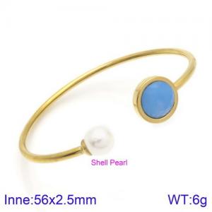 Stainless Steel Stone Bangle - KB123053-K