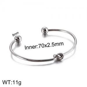 Stainless Steel Bangle - KB129465-Z