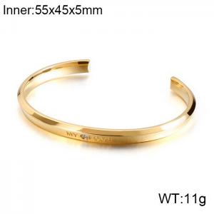 Stainless Steel Stone Bangle - KB136245-GC
