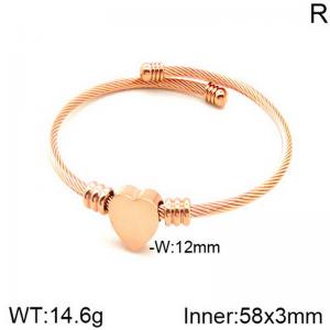 Stainless Steel Wire Bangle - KB182772-NT