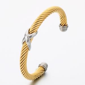 Stainless Steel Wire Bangle - KB189550-SP