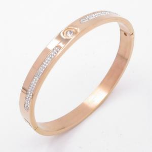 Stainless Steel Stone Bangle - KB205234-ZY