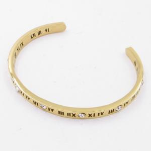 Stainless Steel Stone Bangle - KB205239-ZY
