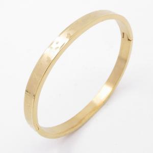 Stainless Steel Gold-plating Bangle - KB205246-ZY