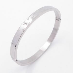 Stainless Steel Bangle - KB205247-ZY