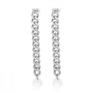 Stainless Steel Earring - KE100269-Z