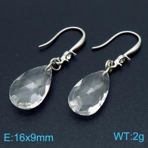 Stainless Steel Stone&Crystal Earring - KE103905-Z