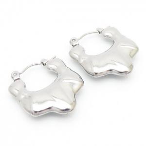 Irregular Geometry Earring Women Stainless Steel 304 Silver Color - KE110293-LM