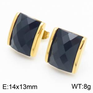 Black crystal glass Square Stainless Steel Gold Earrings - KE116299-GC