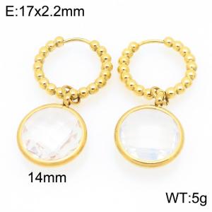 Stainless Steel Stone&Crystal Earring - KE121194-Z