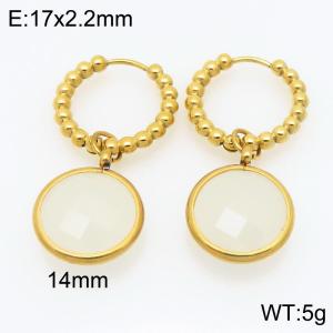 Stainless Steel Stone&Crystal Earring - KE121206-Z