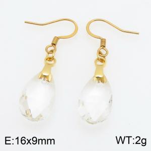 Stainless Steel Stone&Crystal Earring - KE134534-SS