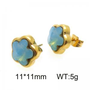 Off-price Earring - KE48475-ZC