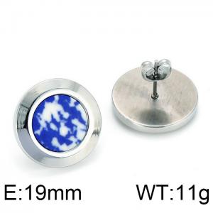 Stainless Steel Earring - KE65285-K
