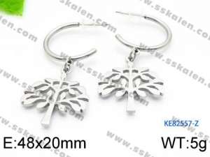 Stainless Steel Earring - KE82557-Z