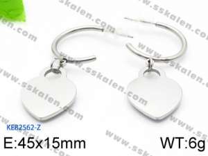 Stainless Steel Earring - KE82562-Z