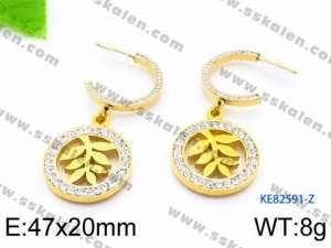 Stainless Steel Stone&Crystal Earring - KE82591-Z