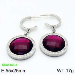 Stainless Steel Stone&Crystal Earring - KE85450-Z