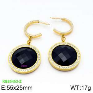 Stainless Steel Stone&Crystal Earring - KE85453-Z