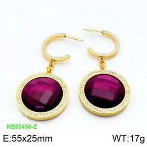 Stainless Steel Stone&Crystal Earring - KE85456-Z