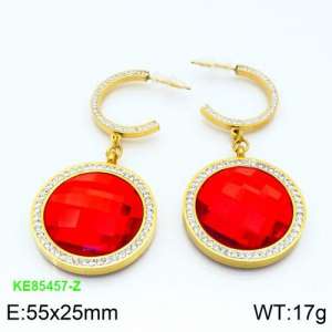 Stainless Steel Stone&Crystal Earring - KE85457-Z