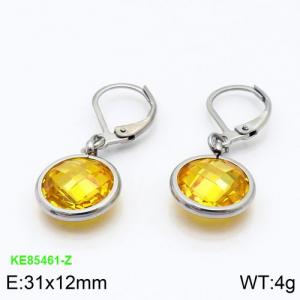 Stainless Steel Stone&Crystal Earring - KE85461-Z